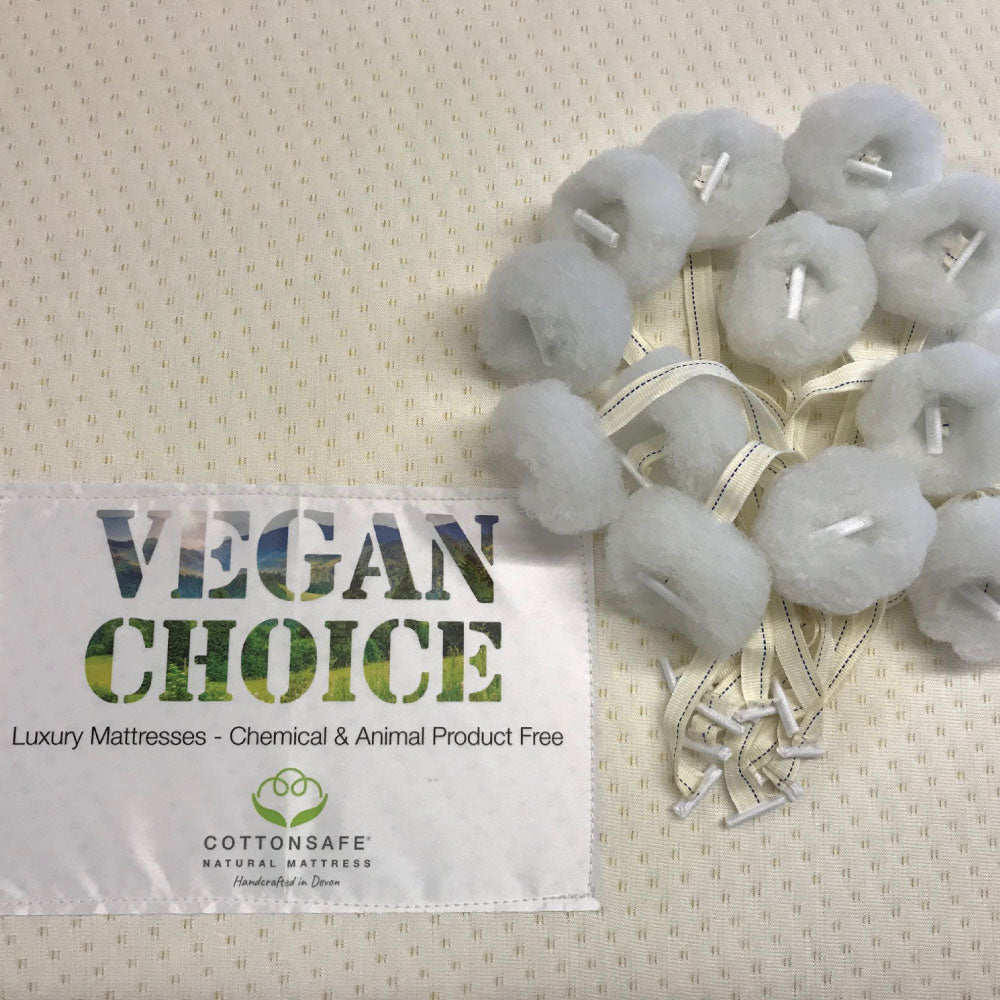 Vegan Choice Tufts